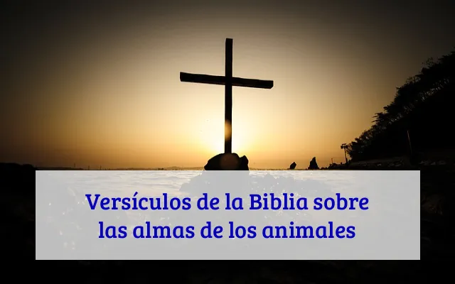 Versículos de la Biblia sobre las almas de los animales
