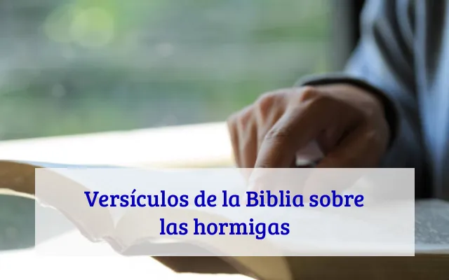 Versículos de la Biblia sobre las hormigas