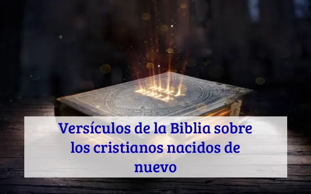 Versículos de la Biblia sobre los cristianos nacidos de nuevo