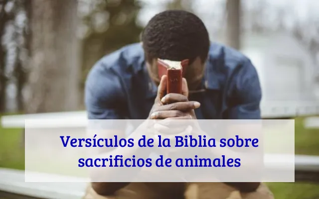 Versículos de la Biblia sobre sacrificios de animales
