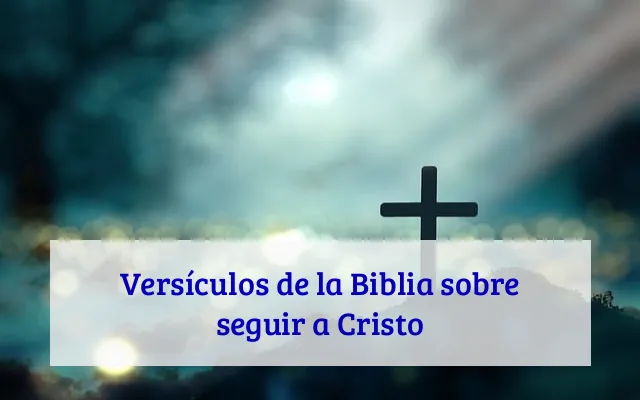 Versículos de la Biblia sobre seguir a Cristo