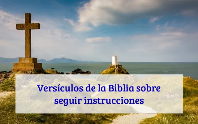 Versículos de la Biblia sobre seguir instrucciones
